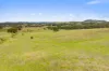 9 Barking Owl Place, Bellmount Forest NSW 2581-Image
