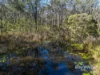 972 Limeburners Creek Road, Clarence Town NSW 2321-Image
