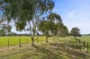 98 Gnotuk Road, Camperdown VIC 3260-Image