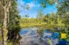 , Agnes Water QLD 4677-Image