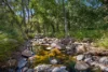 , Amamoor Creek QLD 4570-Image
