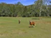 , Amamoor Creek QLD 4570-Image