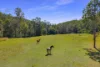 , Amamoor Creek QLD 4570-Image