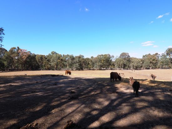 , Amphitheatre VIC 3468-Image