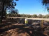 , Amphitheatre VIC 3468-Image