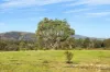 , Amphitheatre VIC 3468-Image