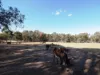 , Amphitheatre VIC 3468-Image