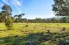 , Amphitheatre VIC 3468-Image