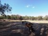 , Amphitheatre VIC 3468-Image