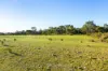 , Amphitheatre VIC 3468-Image