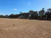 , Amphitheatre VIC 3468-Image