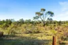 , Amphitheatre VIC 3468-Image