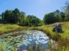 , Armstrong Creek QLD 4520-Image