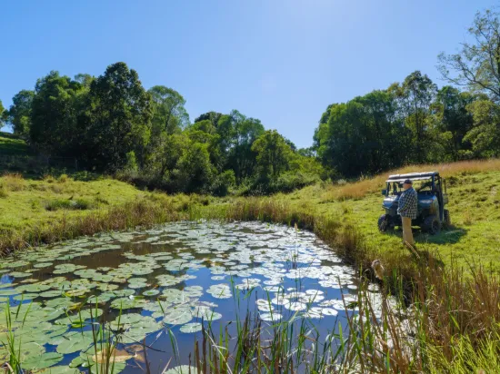 , Armstrong Creek QLD 4520-Image