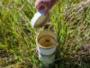 , Armstrong Creek QLD 4520-Image