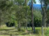 , Armstrong Creek QLD 4520-Image