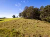 , Armstrong Creek QLD 4520-Image