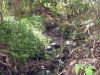 , Atherton QLD 4883-Image