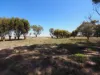 , Banyena VIC 3388-Image