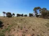 , Banyena VIC 3388-Image