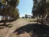 , Banyena VIC 3388-Image