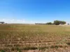 , Banyena VIC 3388-Image