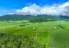 , Bellenden Ker QLD 4871-Image