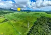 , Bellenden Ker QLD 4871-Image