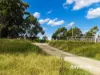 , Bergalia NSW 2537-Image
