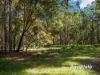 , Bergalia NSW 2537-Image