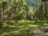 , Bergalia NSW 2537-Image