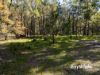 , Bergalia NSW 2537-Image