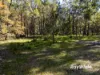 , Bergalia NSW 2537-Image