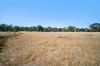 CA 58D Western Highway, Beaufort VIC 3373-Image