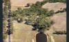 CA A15/3383 Avoca-, Bealiba VIC 3475-Image