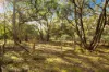 , Carngham VIC 3351-Image