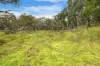 , Carngham VIC 3351-Image