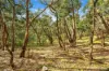 , Carngham VIC 3351-Image