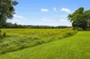 , Cassowary QLD 4873-Image