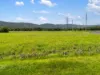 , Cassowary QLD 4873-Image