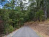 , Cedar Creek QLD 4520-Image