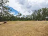 , Cedar Creek QLD 4520-Image