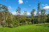 , Coorabell NSW 2479-Image