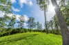 , Coorabell NSW 2479-Image