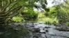 , Coorabell NSW 2479-Image