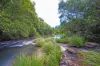 , Coorabell NSW 2479-Image