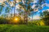, Coorabell NSW 2479-Image