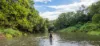, Coorabell NSW 2479-Image
