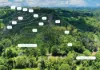 , Coorabell NSW 2479-Image