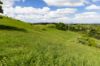 , Cootharaba QLD 4565-Image